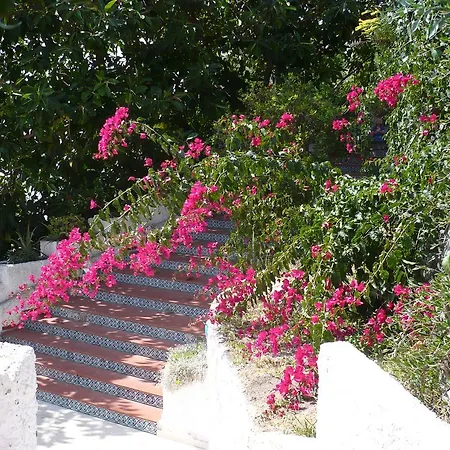 Holiday home La Buganvilla *